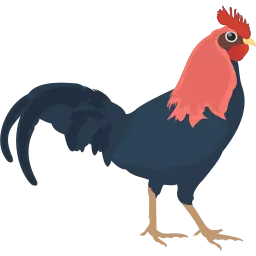 Sabung Ayam